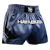 Hayabusa Core Muay Thai Shorts - Blue