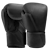 Hayabusa T360 Leather Boxing Gloves - Midnight Black